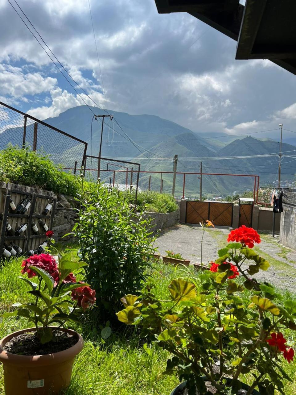 Guesthouse Relax In Kazbegi Exterior photo